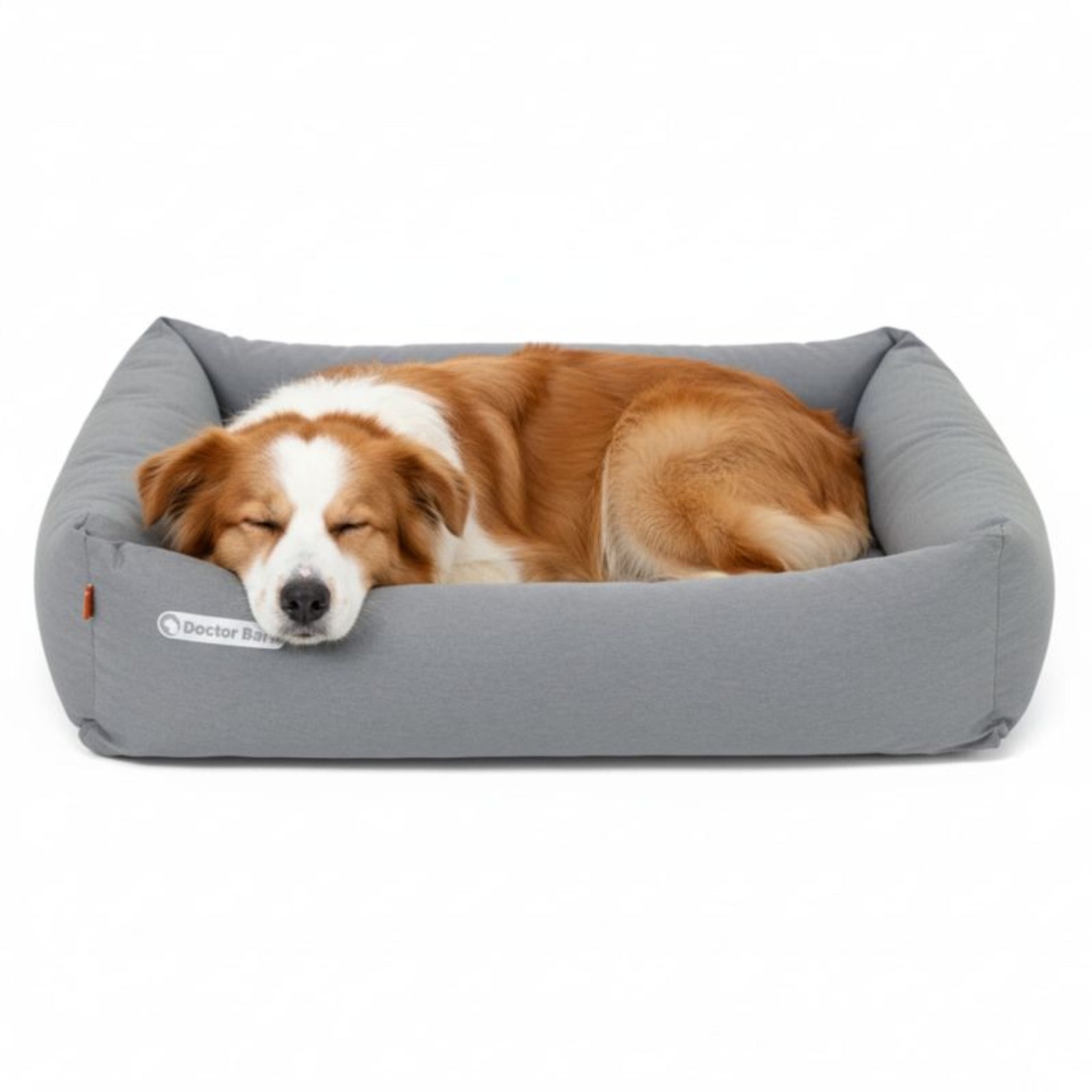 Doctor Bark Orthopädisches Hundebett – Gelenkschonend &amp; Wirbelsäulenentlastend für gesunden Schlaf - Woofshack
