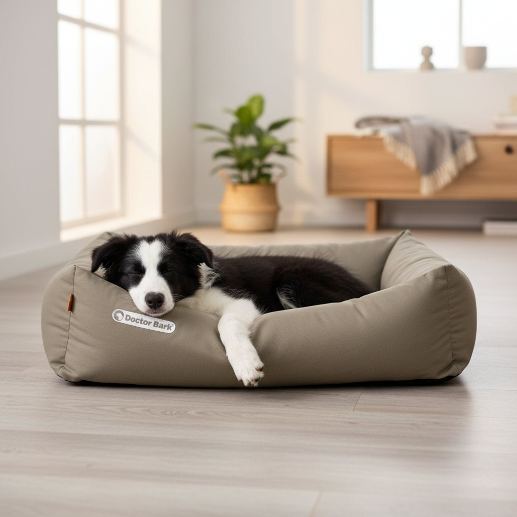 Doctor Bark Orthopädisches Hundebett – Gelenkschonend &amp; Wirbelsäulenentlastend für gesunden Schlaf - Woofshack