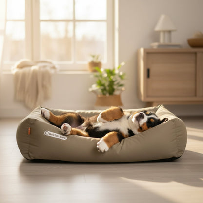 Doctor Bark Orthopädisches Hundebett – Gelenkschonend &amp; Wirbelsäulenentlastend für gesunden Schlaf - Woofshack
