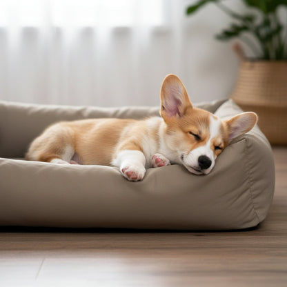 Doctor Bark Orthopädisches Hundebett – Gelenkschonend &amp; Wirbelsäulenentlastend für gesunden Schlaf - Woofshack