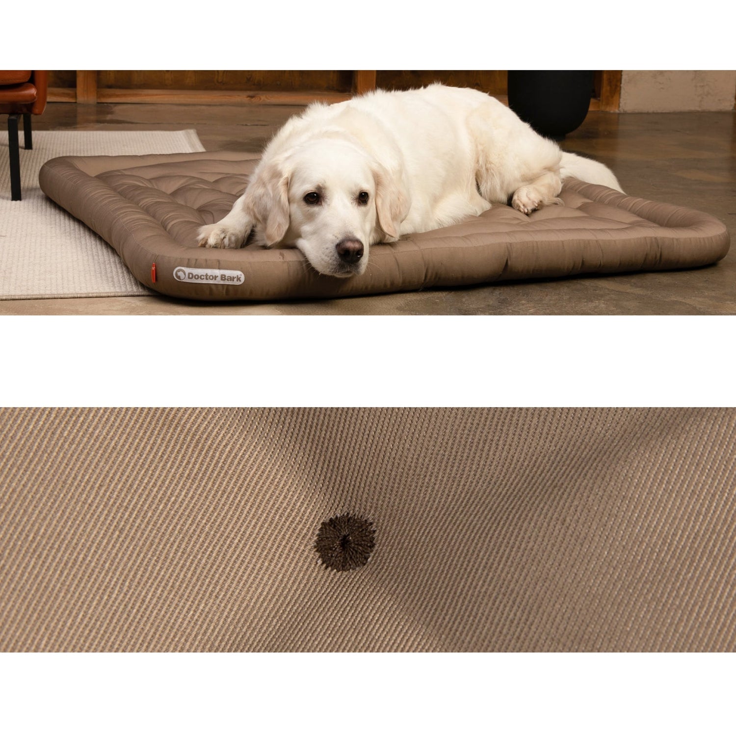 Doctor Bark Orthopädisches Lounge - Kissen - Woofshack