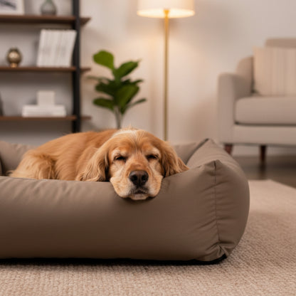 Doctor Bark Orthopädisches Hundebett – Gelenkschonend &amp; Wirbelsäulenentlastend für gesunden Schlaf