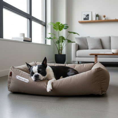 Doctor Bark Orthopädisches Hundebett – Gelenkschonend &amp; Wirbelsäulenentlastend für gesunden Schlaf