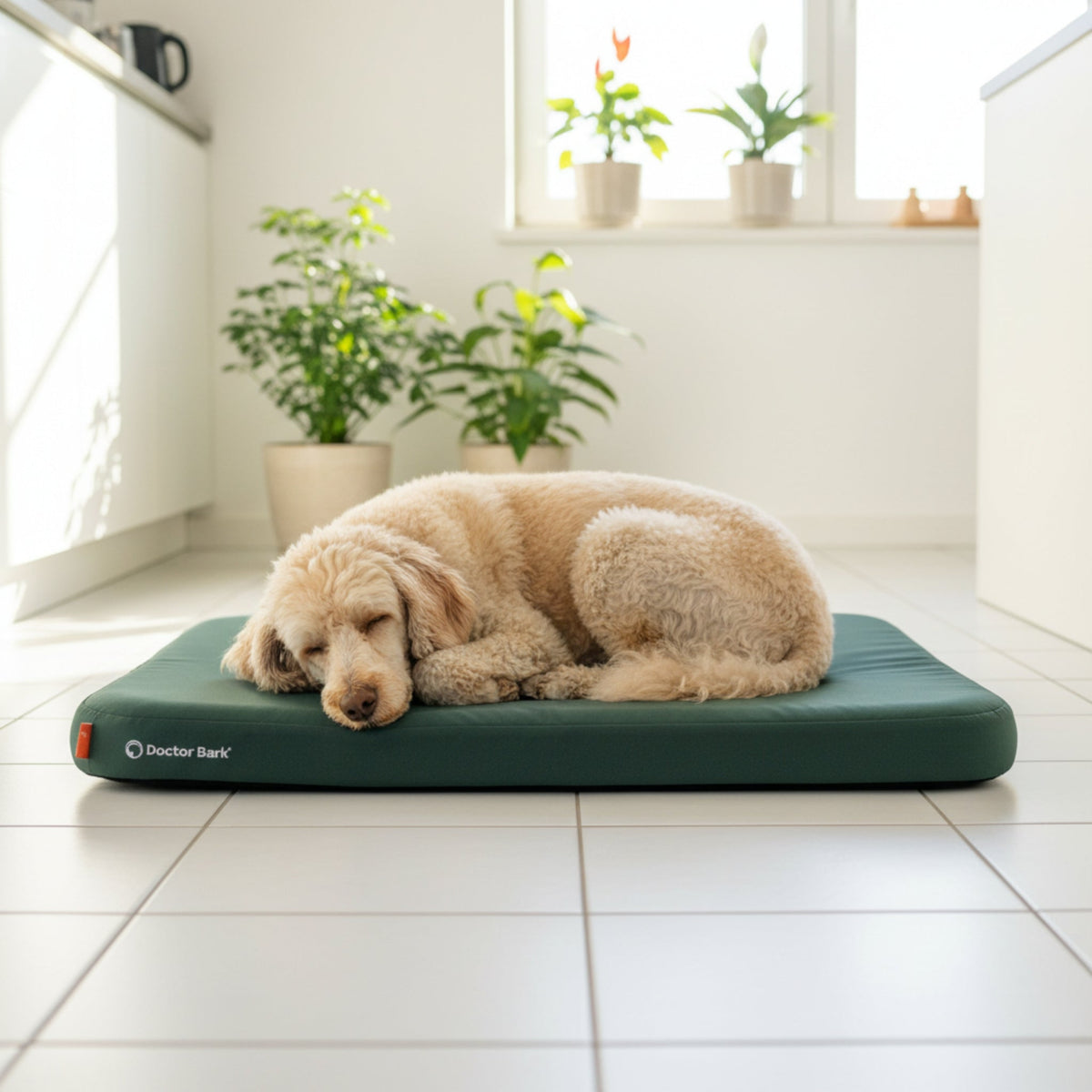 Doctor Bark Premium Wechselbezug für Lounge - Kissen – wasserdicht, hygienisch &amp; maschinenwaschbar für Hunde - Woofshack