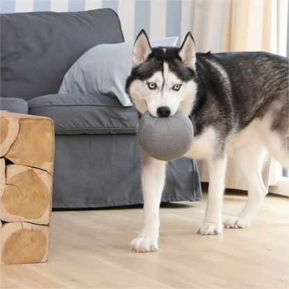 Doctor Bark Toy Ball, Hundespielzeug - Woofshack