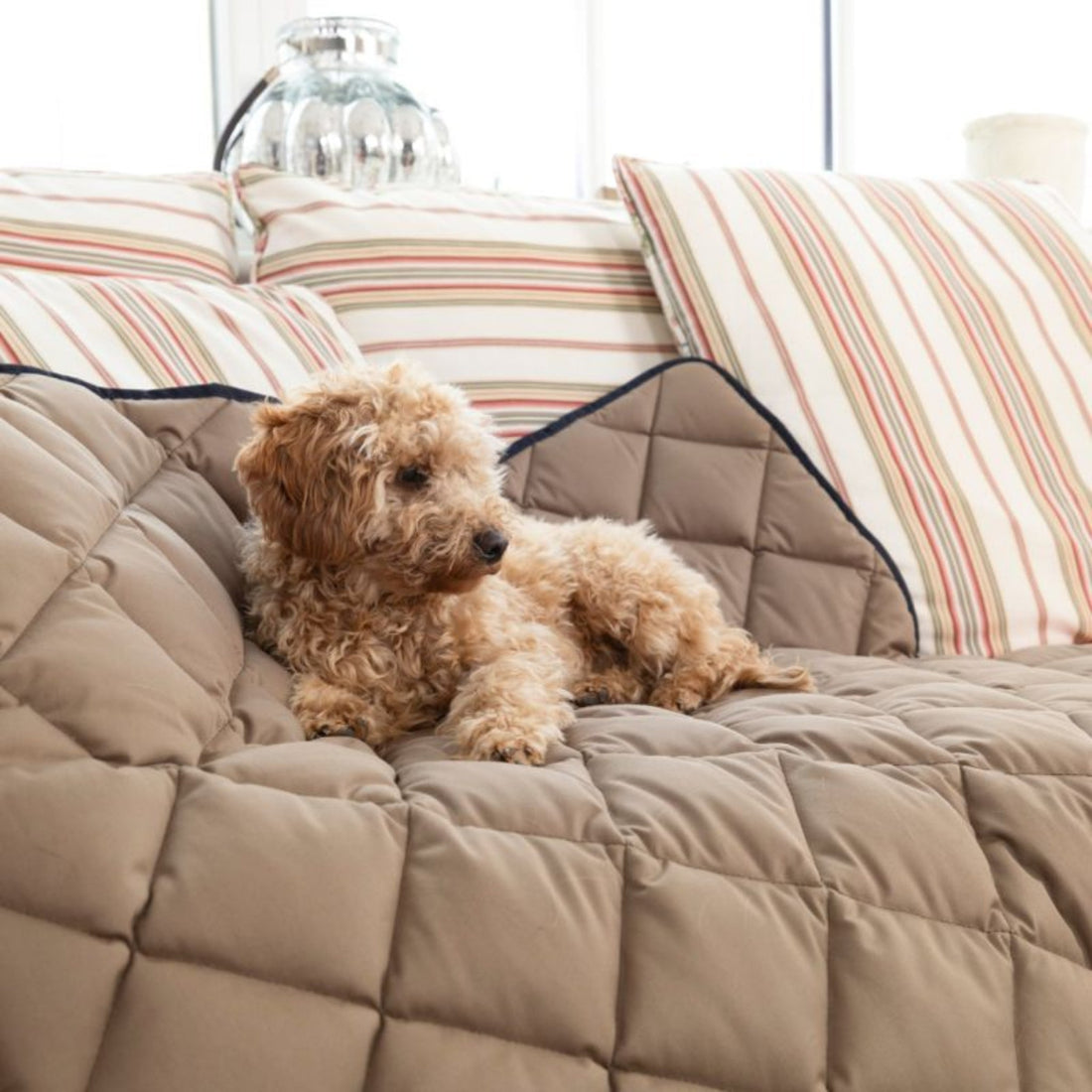 Doctor Bark Wende - Steppdecke - Woofshack