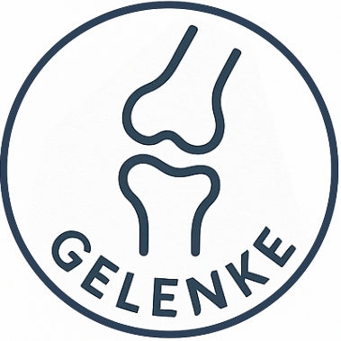 Gelenke