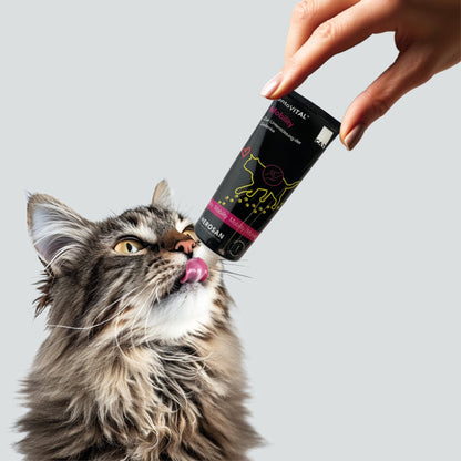 HEROSAN entoVITAL Cat Mobility für Katzen - Woofshack