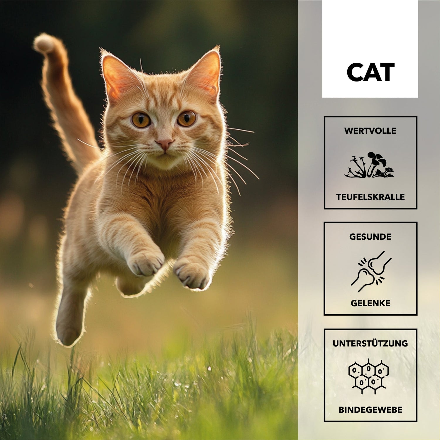 HEROSAN entoVITAL Cat Mobility für Katzen - Woofshack