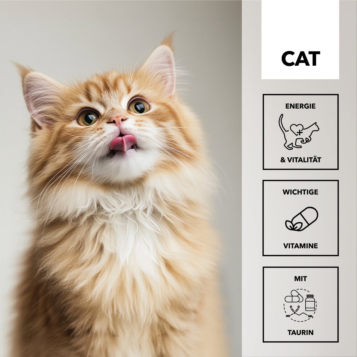 HEROSAN entoVITAL Cat Vitamin Boost für Katzen - Woofshack