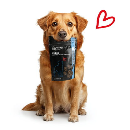 HEROSAN entoVITAL Dog Cubes, Hundesnack - Woofshack