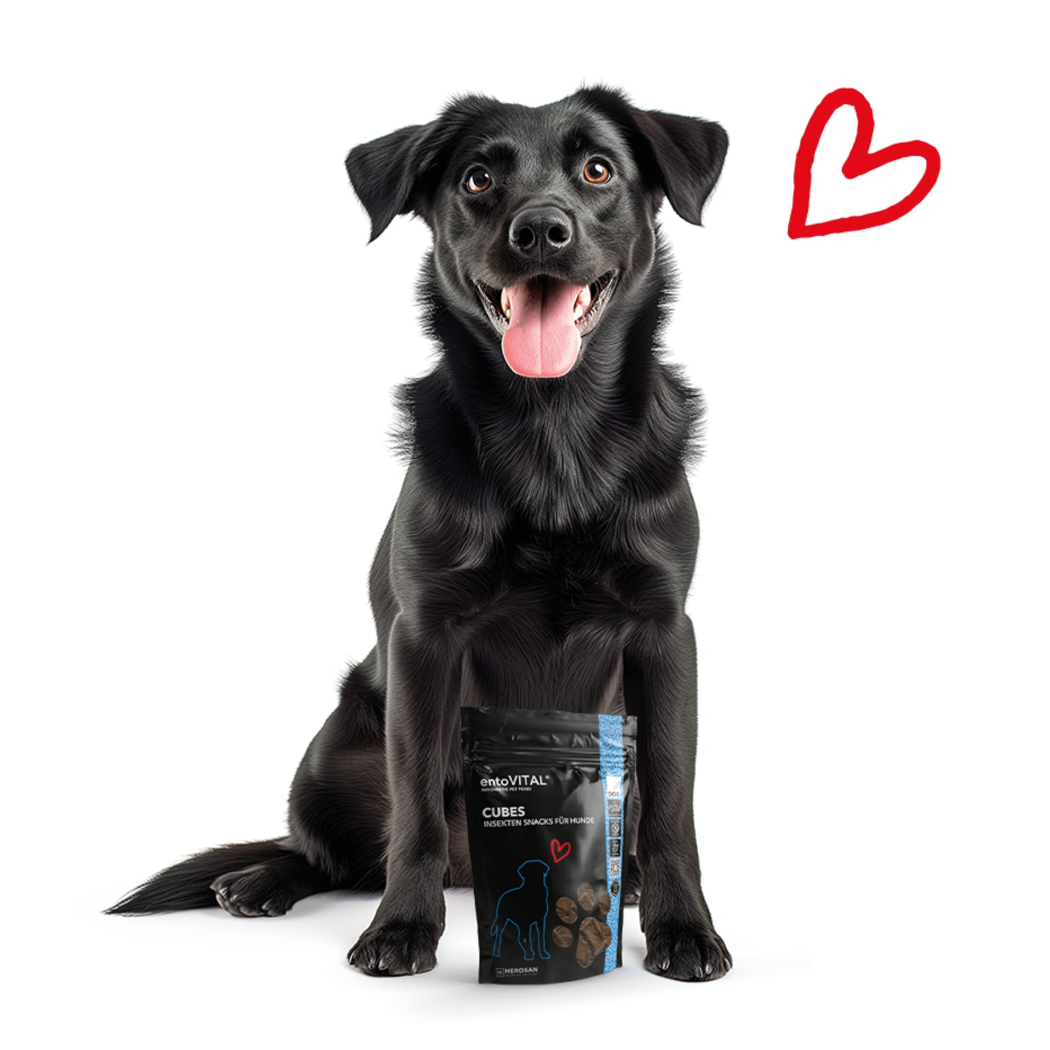 HEROSAN entoVITAL Dog Cubes, Hundesnack - Woofshack