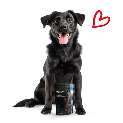 HEROSAN entoVITAL Dog Cubes, Hundesnack - Woofshack