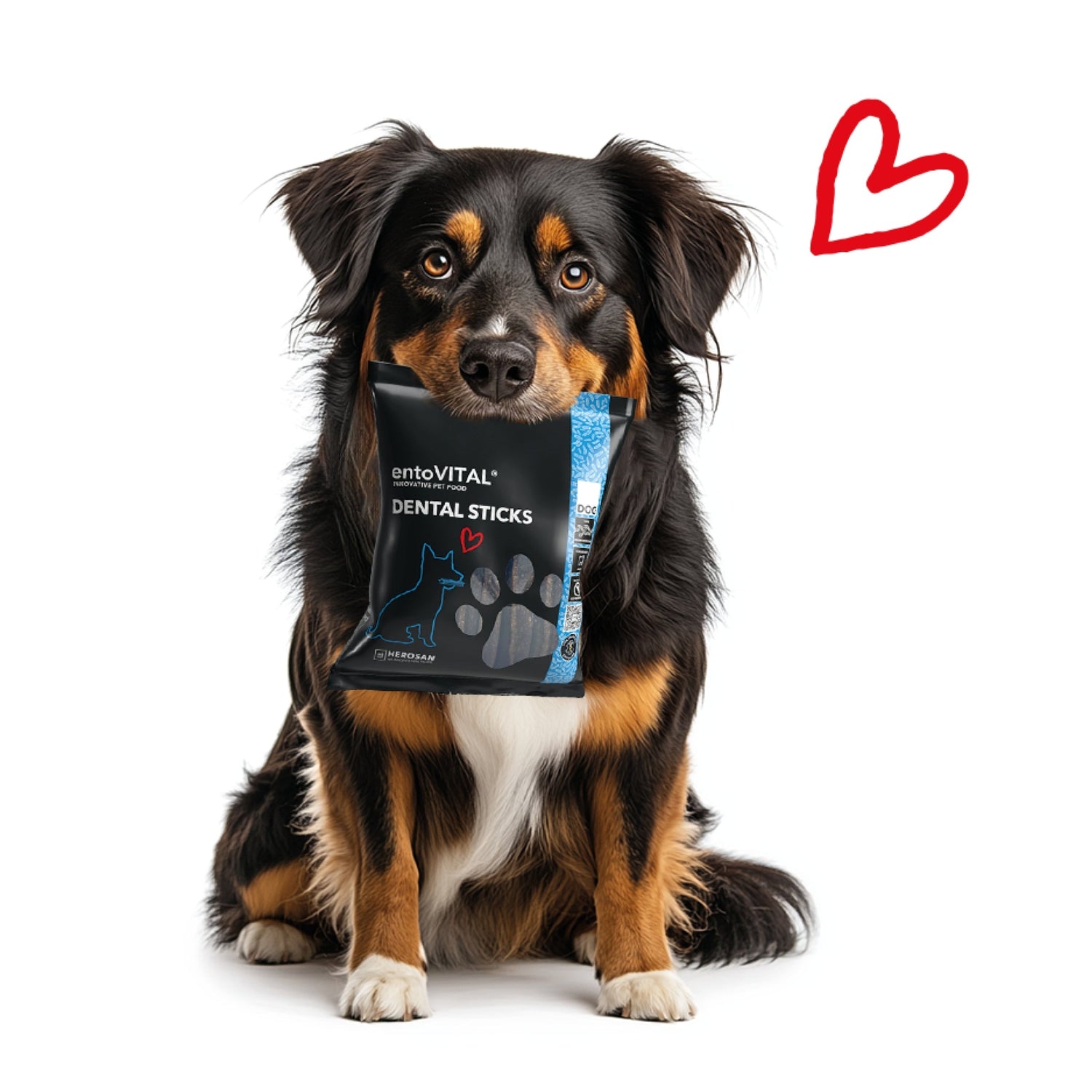 HEROSAN entoVITAL Dog Dental Sticks, Hundesnack - Woofshack