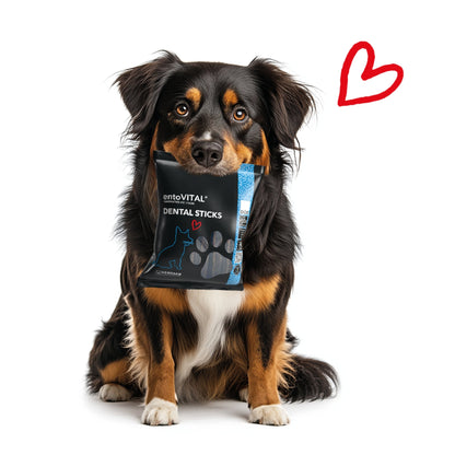 HEROSAN entoVITAL Dog Dental Sticks, Hundesnack - Woofshack