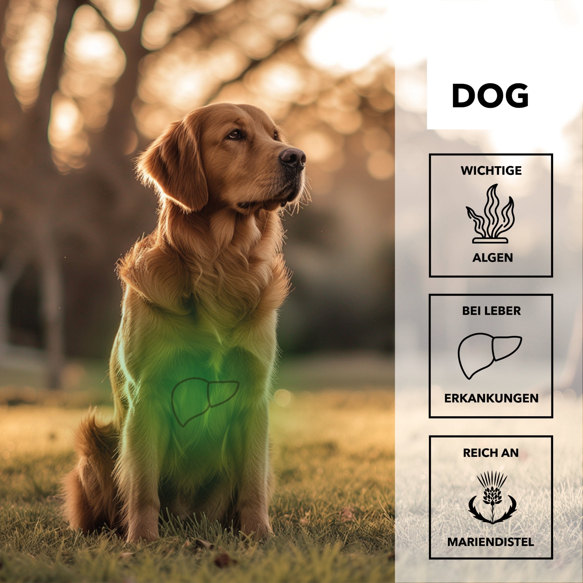 HEROSAN entoVITAL Dog detox für Hunde - Woofshack