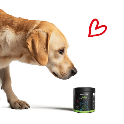 HEROSAN entoVITAL Dog detox für Hunde - Woofshack