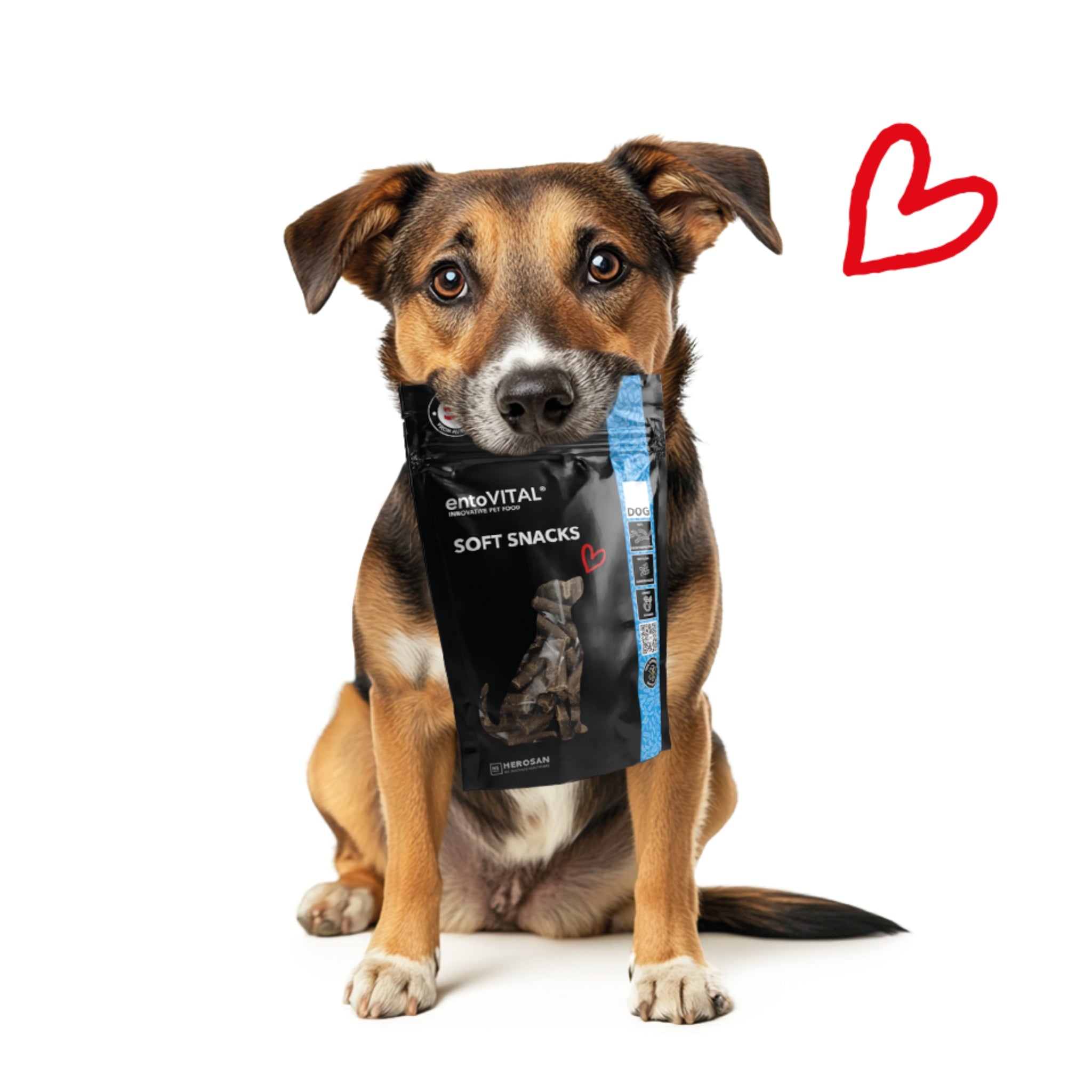 HEROSAN entoVITAL Dog Soft Snacks für Hunde - Woofshack