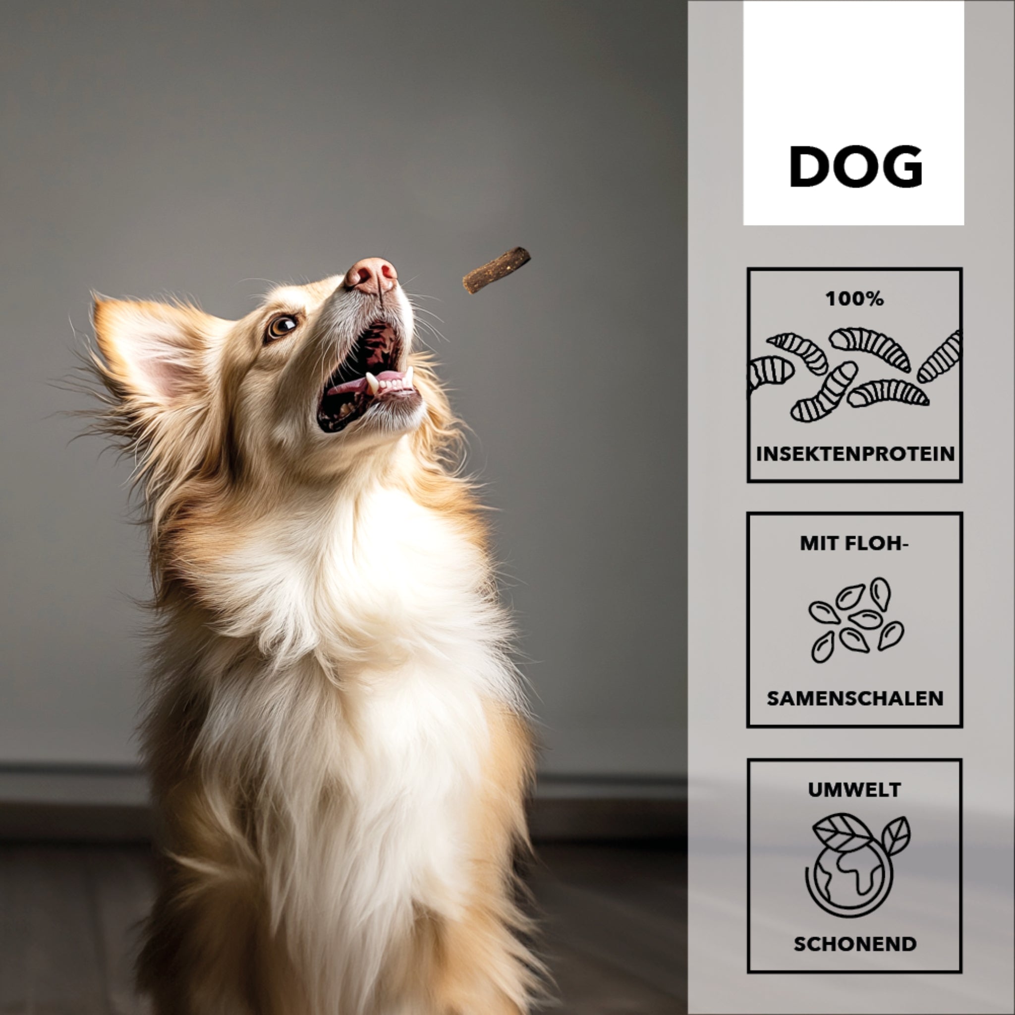 HEROSAN entoVITAL Dog Soft Snacks für Hunde - Woofshack