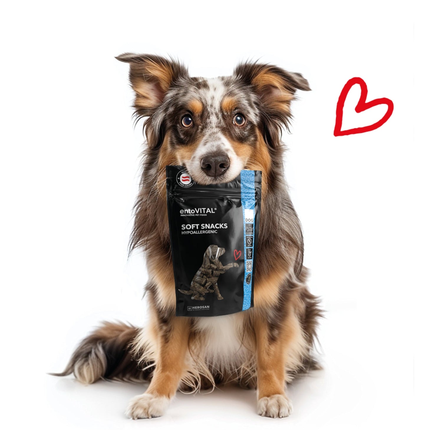 HEROSAN entoVITAL Dog Soft Snacks Hypoallergenic für Hunde - Woofshack