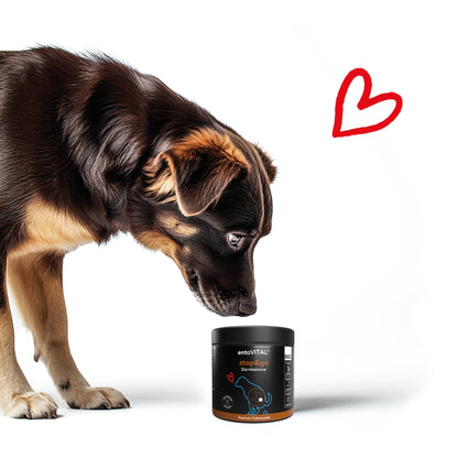 HEROSAN entoVITAL Dog stop&amp;go für Hunde - Woofshack