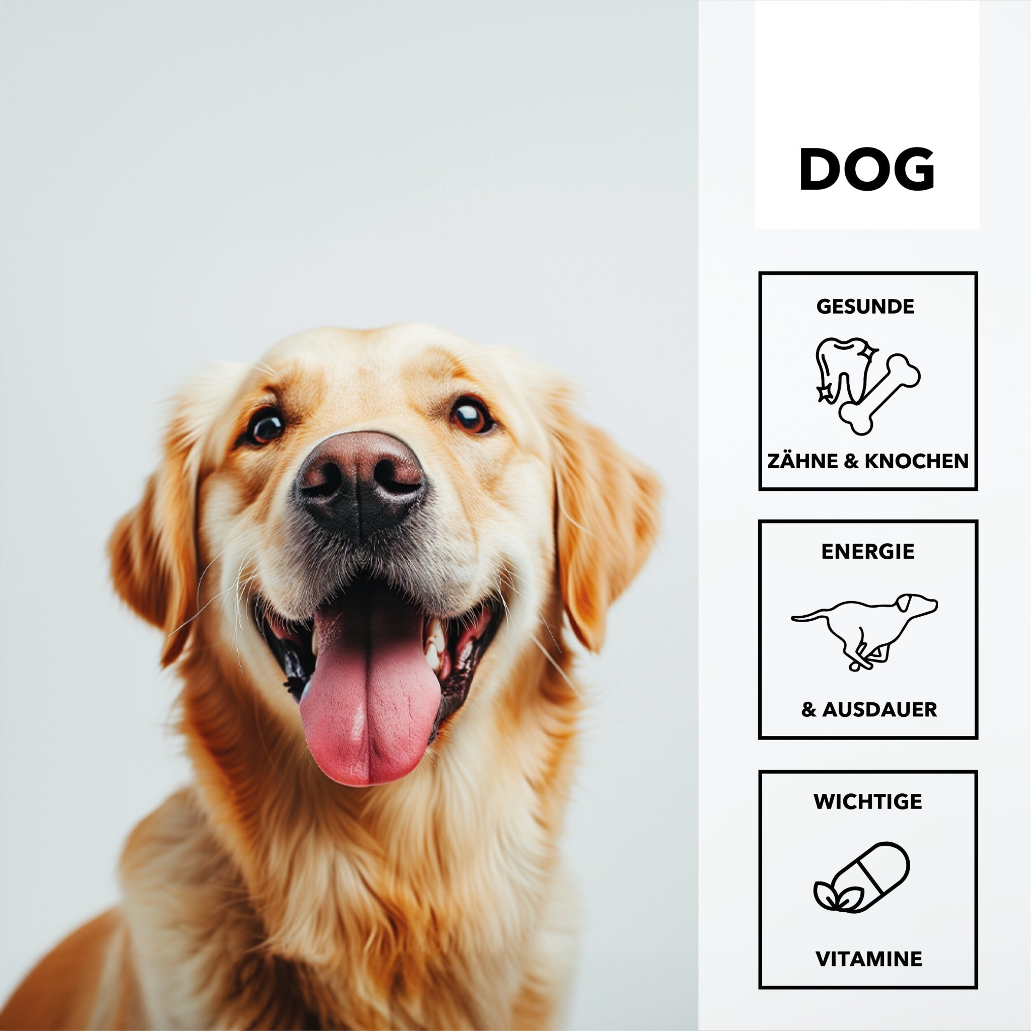 HEROSAN entoVITAL Dog Vitamin Boost, Hundesnack - Woofshack