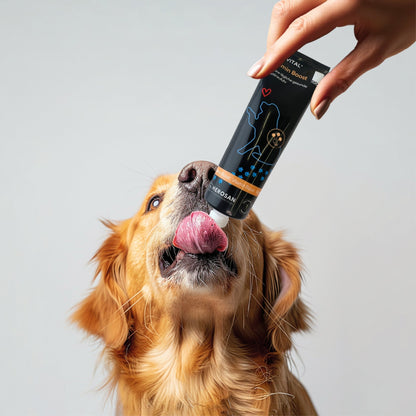 HEROSAN entoVITAL Dog Vitamin Boost, Hundesnack - Woofshack