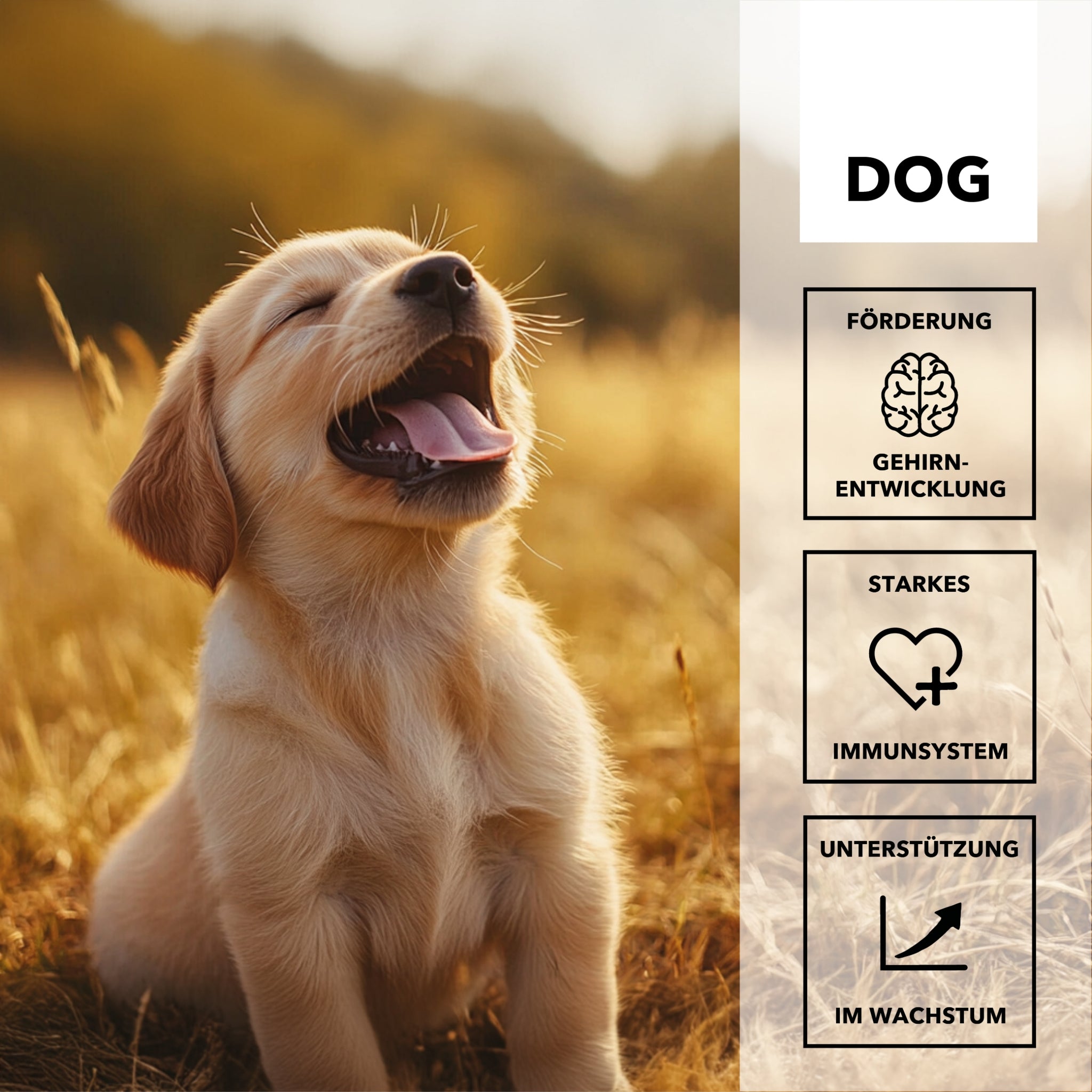 HEROSAN entoVITAL Dog Vitamin Boost Puppy für Hunde - Woofshack