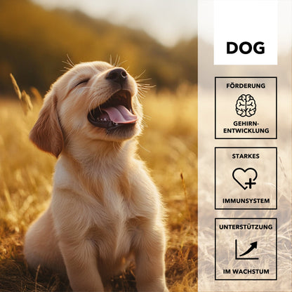 HEROSAN entoVITAL Dog Vitamin Boost Puppy für Hunde - Woofshack