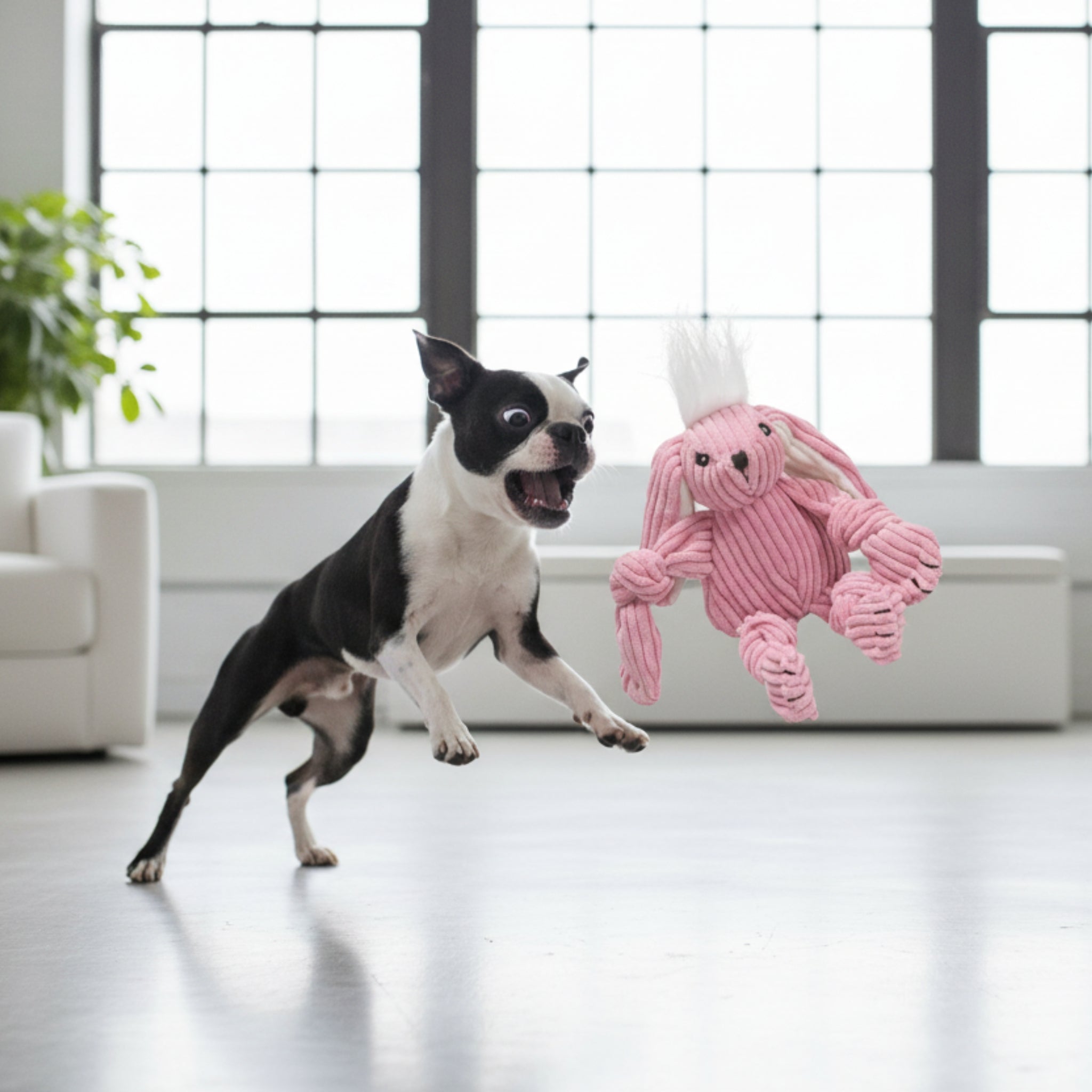 HuggleHounds Bitsy Bunny Knottie – Strapazierfähiges Plüsch - Hundespielzeug mit geknoteten Gliedmaßen für intensive Kausessions und aktives Spielen - Woofshack