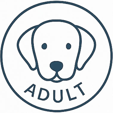 Hundefutter erwachsene Hunde Adult