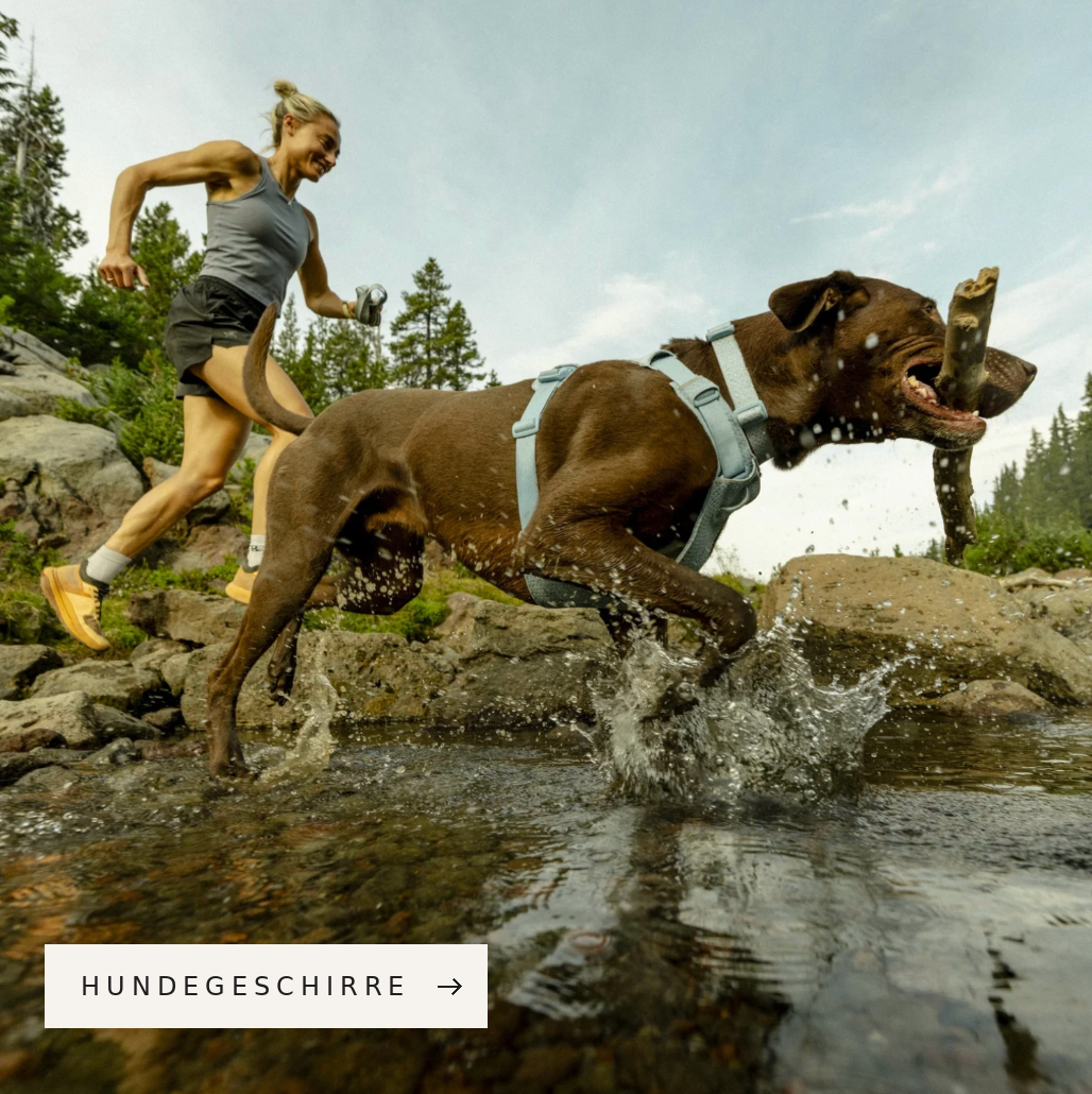 Hundegeschirre bei Woofshack kaufen