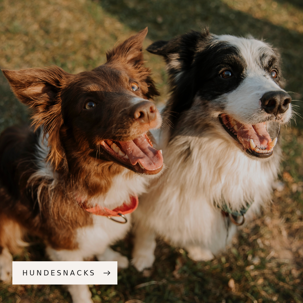 Hundesnacks bei Woofshack kaufen