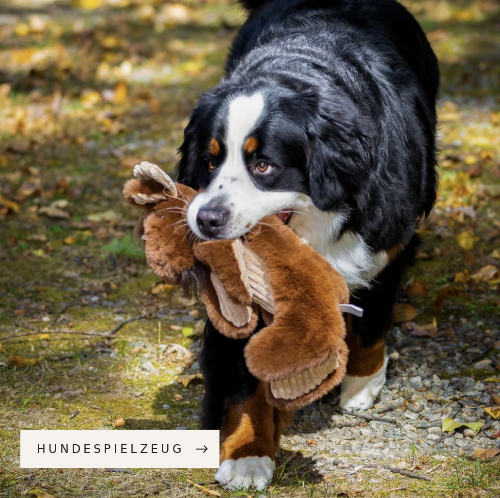 Hundespielzeug bei Woofshack kaufen