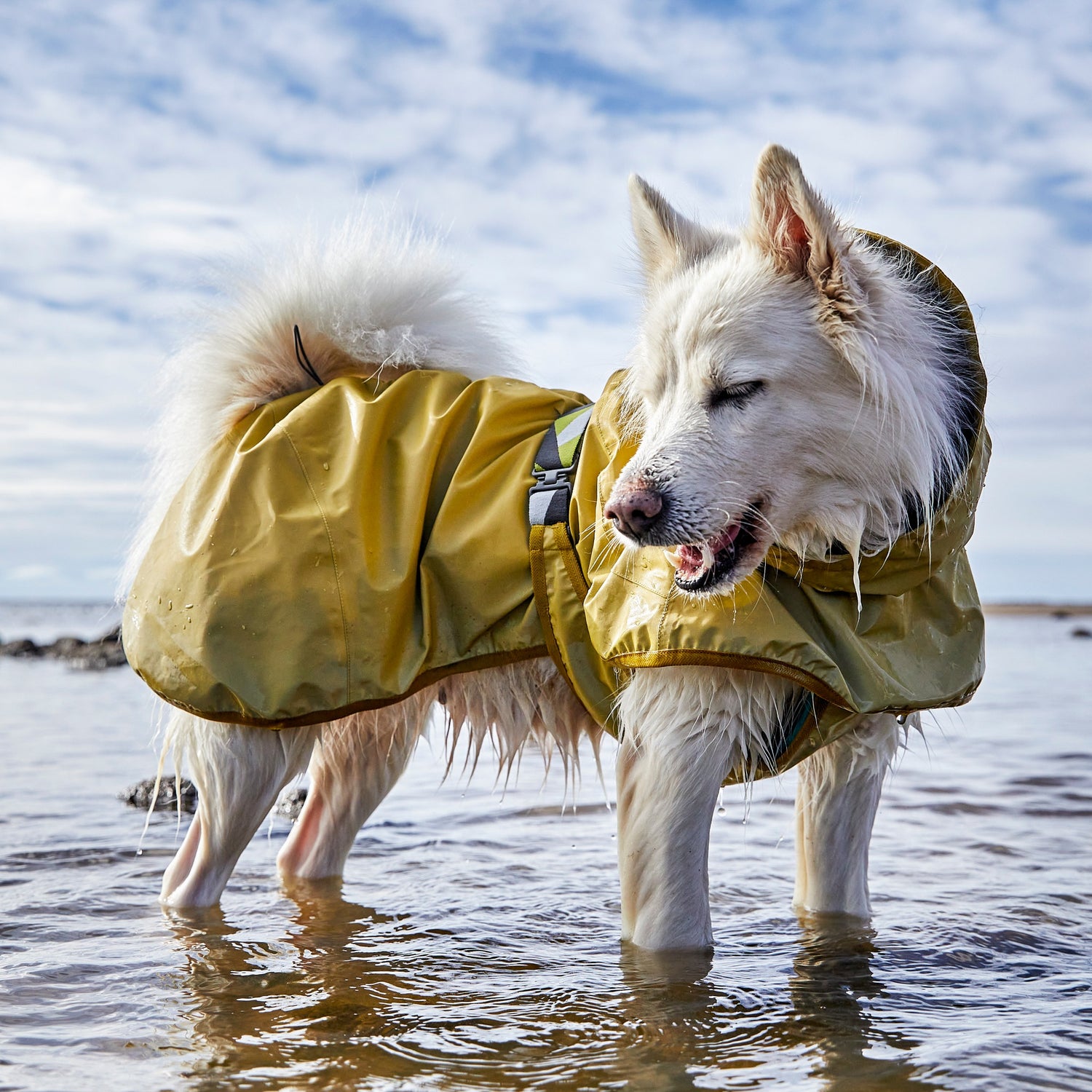 Hurtta Hundemäntel Regen und Matsch - Hurtta Dog Coats Rain and Mud