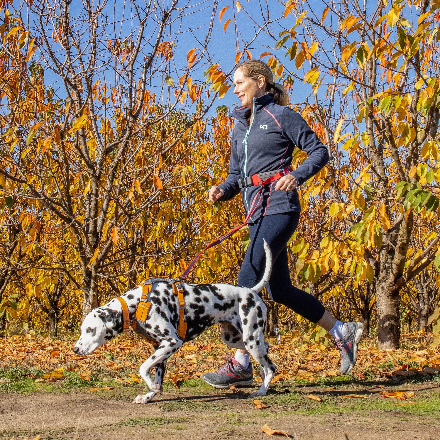 Joggen mit Hund - Running with dog