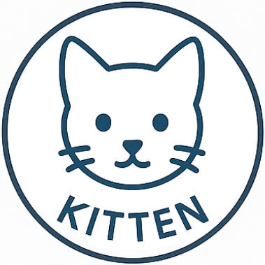 Kitten