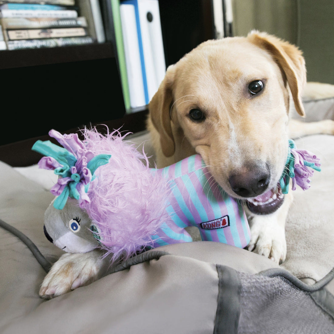 Kong Knots Carnival Camel, Hundespielzeug - Woofshack