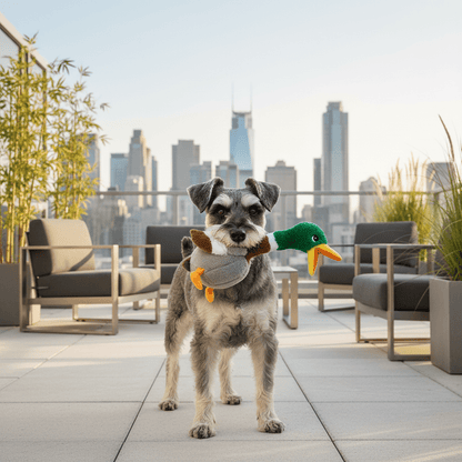 KONG Shakers Honkers Ente – Interaktives Quietsch - Hundespielzeug mit extralangem Hals für stundenlangen Schüttel - &amp; Apportierspaß - Woofshack