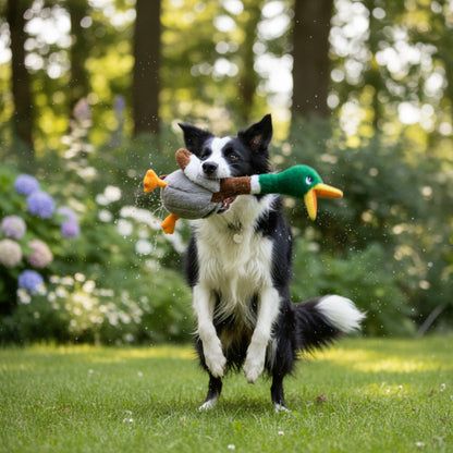 KONG Shakers Honkers Ente – Interaktives Quietsch - Hundespielzeug mit extralangem Hals für stundenlangen Schüttel - &amp; Apportierspaß - Woofshack