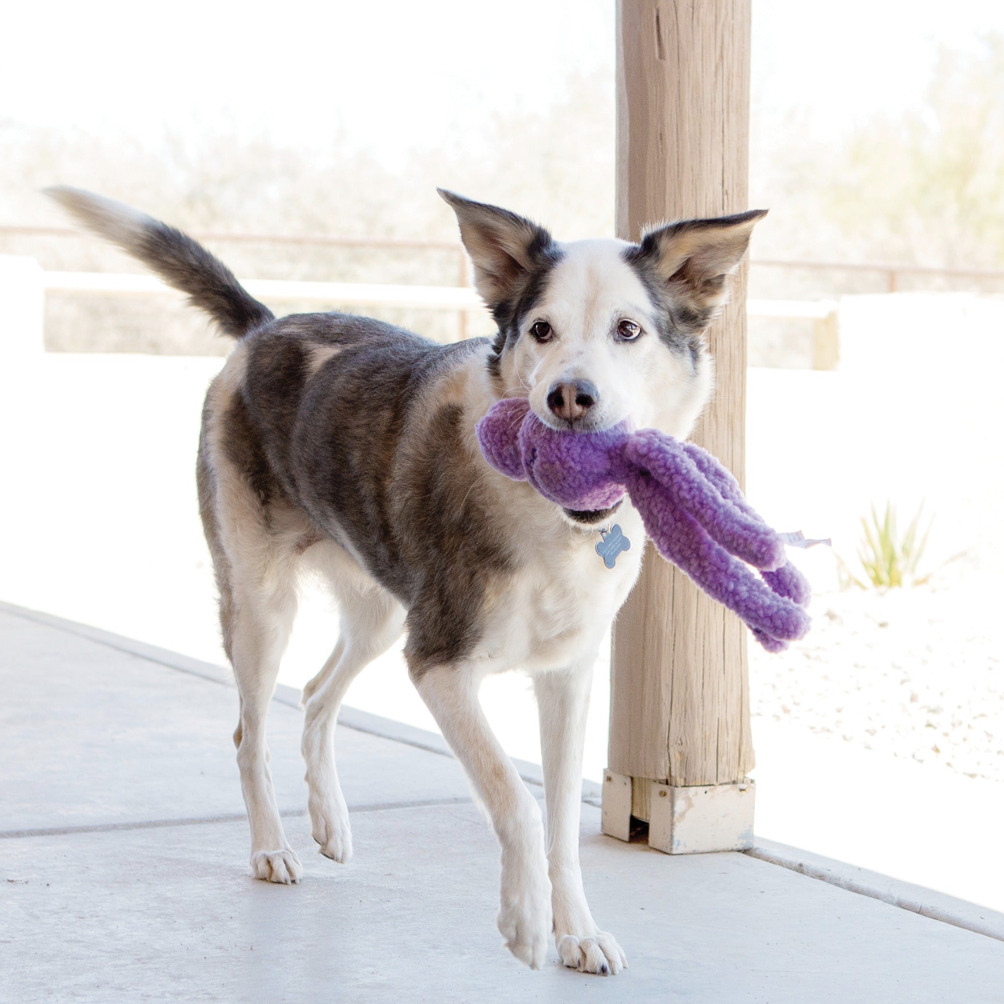 Kong Snugga Wubba, Hundespielzeug - Woofshack