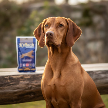 Kronch Pemmikan Energieriegel – Ausdauer &amp; Leistung für aktive Hunde - Woofshack