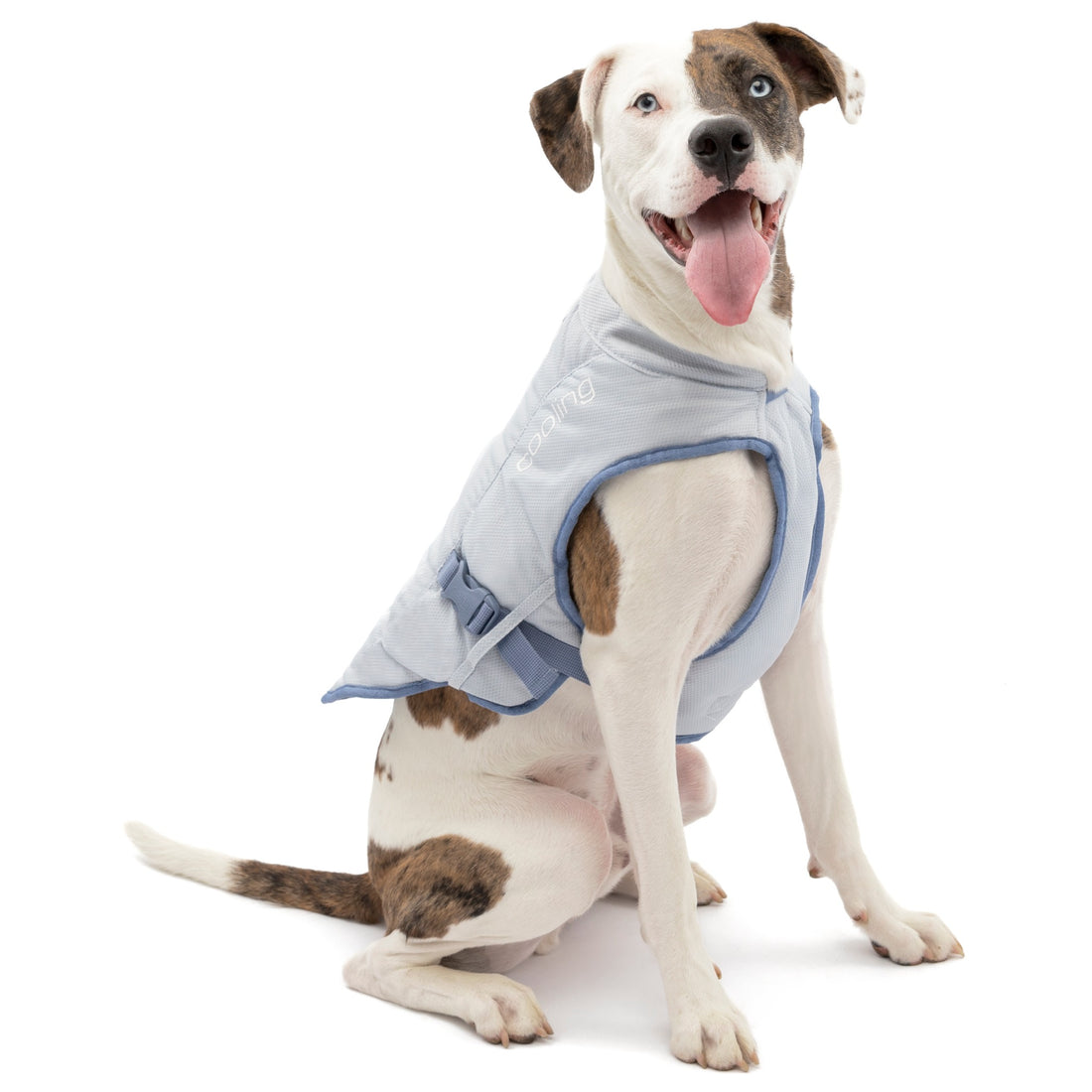 Kurgo Core Cooling Vest, Hundekühlweste