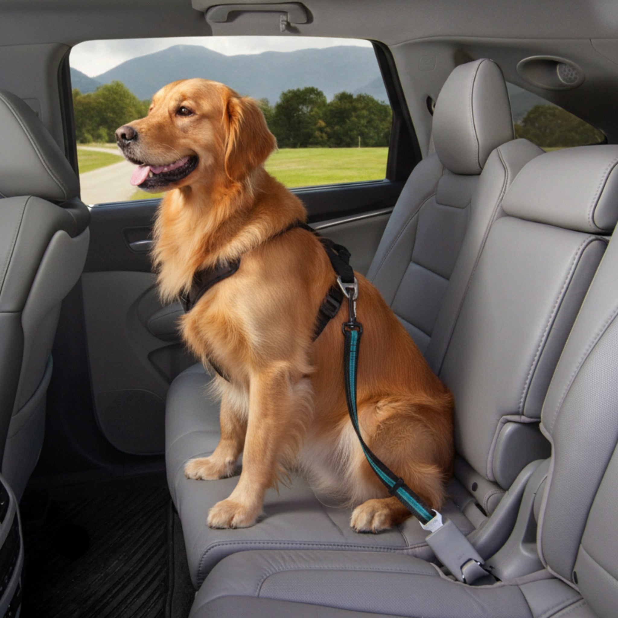Kurgo Direct to Seatbelt Swivel Tether Hundeautogurt mit 360° Drehgelenk – Sicher im Auto mit Hund - Woofshack