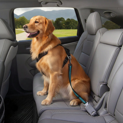 Kurgo Direct to Seatbelt Swivel Tether Hundeautogurt mit 360° Drehgelenk – Sicher im Auto mit Hund - Woofshack