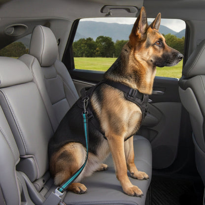 Kurgo Direct to Seatbelt Swivel Tether Hundeautogurt mit 360° Drehgelenk – Sicher im Auto mit Hund - Woofshack