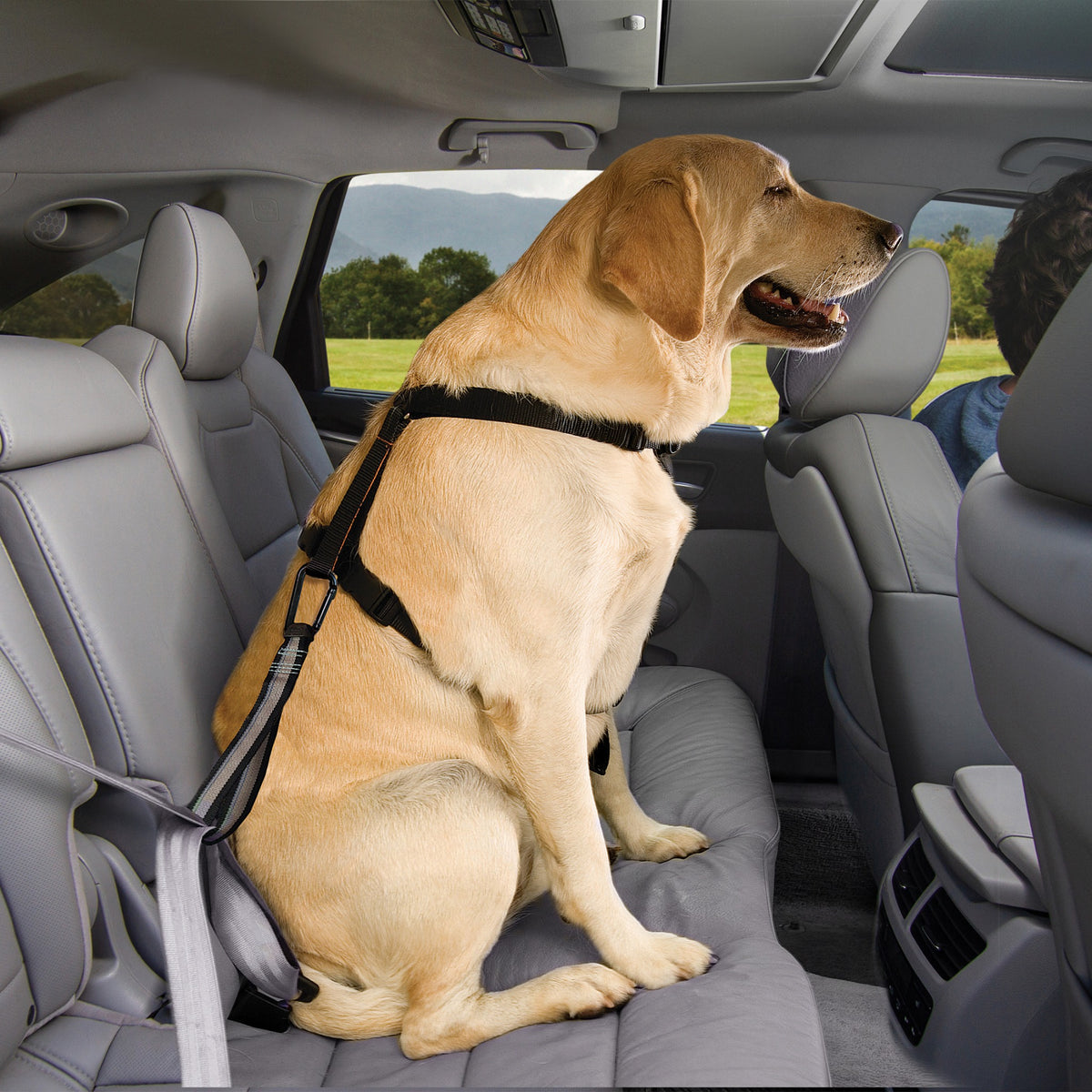 Kurgo Dog Seatbelt Loop – Universal Hundesicherheitsgurt für sicheres Autofahren mit Hund | Einfache Montage