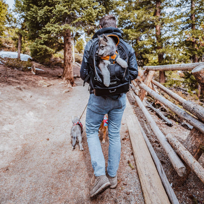 Kurgo G - Train Hunderucksack – Premium Transportrucksack mit Sicherheitsgurt - Befestigung für komfortables Reisen mit kleinen &amp; mittelgroßen Hunden - Woofshack