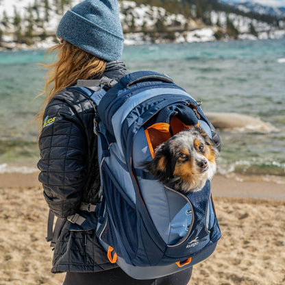 Kurgo G - Train Hunderucksack – Premium Transportrucksack mit Sicherheitsgurt - Befestigung für komfortables Reisen mit kleinen &amp; mittelgroßen Hunden - Woofshack