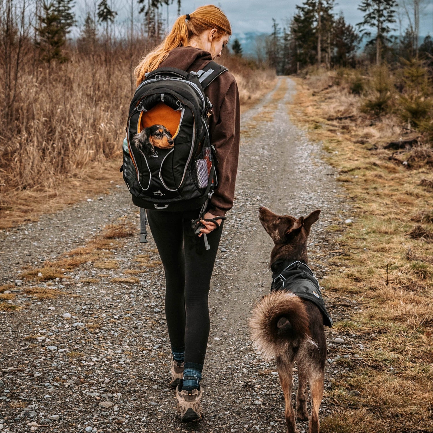 Kurgo G - Train Hunderucksack – Premium Transportrucksack mit Sicherheitsgurt - Befestigung für komfortables Reisen mit kleinen &amp; mittelgroßen Hunden - Woofshack